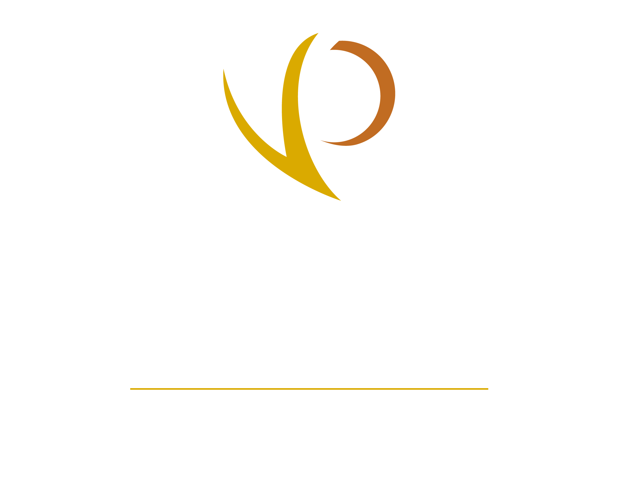 Vista Plains Health logo